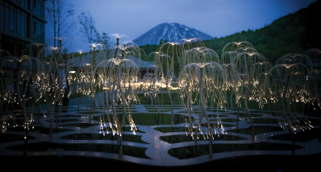 USE SAM Jan25 Niseko MountainLights3