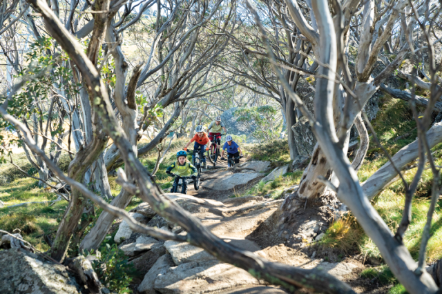 use SAM Jan25 GlobalOps Thredbo MountainBikingFamily2