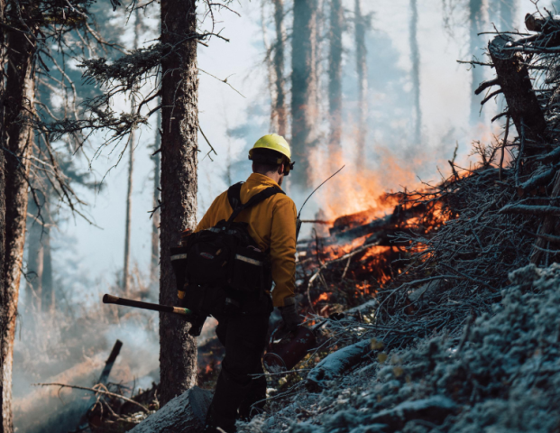 Funding the Fight Against Wildfires 