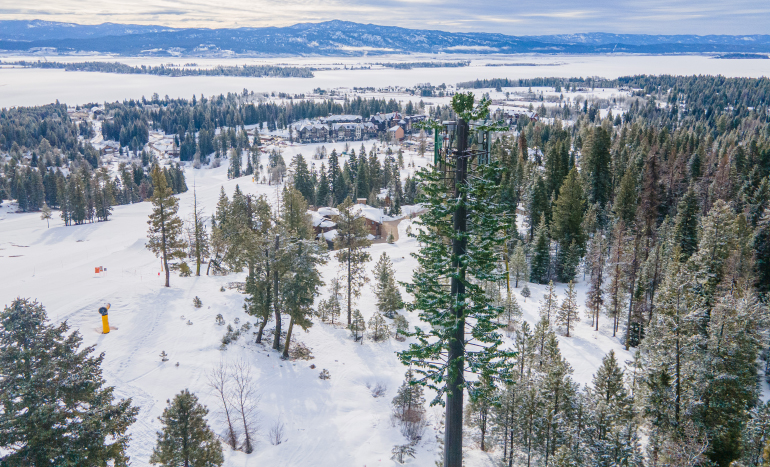 Tamarack Cell Tower