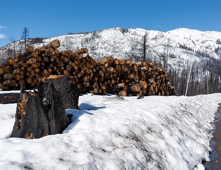 The Caldor Fire blazed through Sierra-at-Tahoe, Calif., damaging structures, lifts, and thousands of trees.