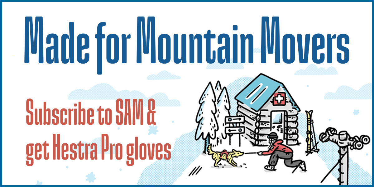 MDMT Web HestraCampaign ILL2 Banner